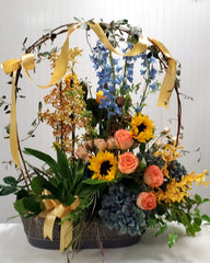Phenomenal Arrangement